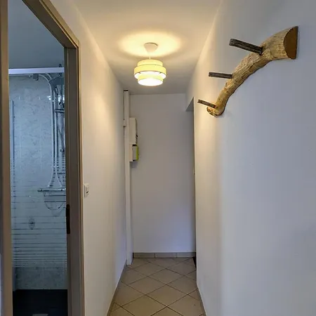 Chaleureux, 2-4 Pers, Vosges, Animaux Admis - Fr-1-589-685 Apartment *