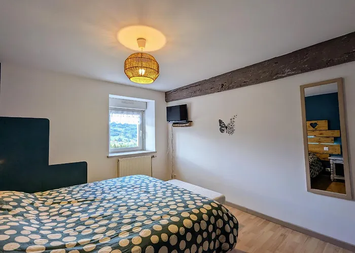 Chaleureux, 2-4 Pers, Vosges, Animaux Admis - Fr-1-589-685 公寓 *