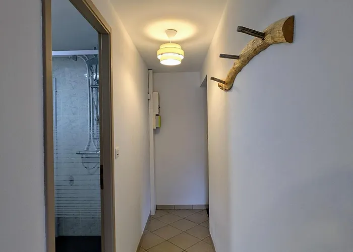 Chaleureux, 2-4 Pers, Vosges, Animaux Admis - Fr-1-589-685 公寓 *